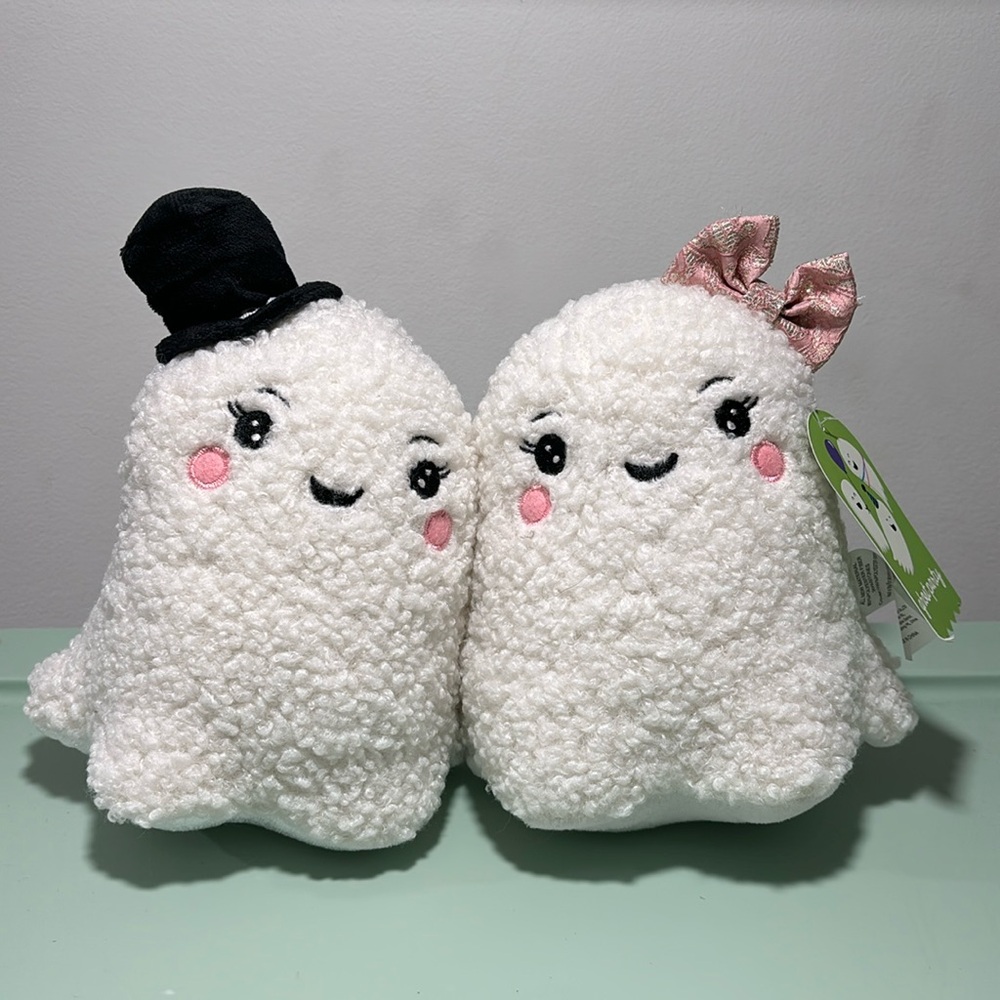 NWT Ghost Decoration